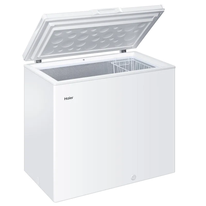 Прочистка дренажной системы Haier HCE203RL